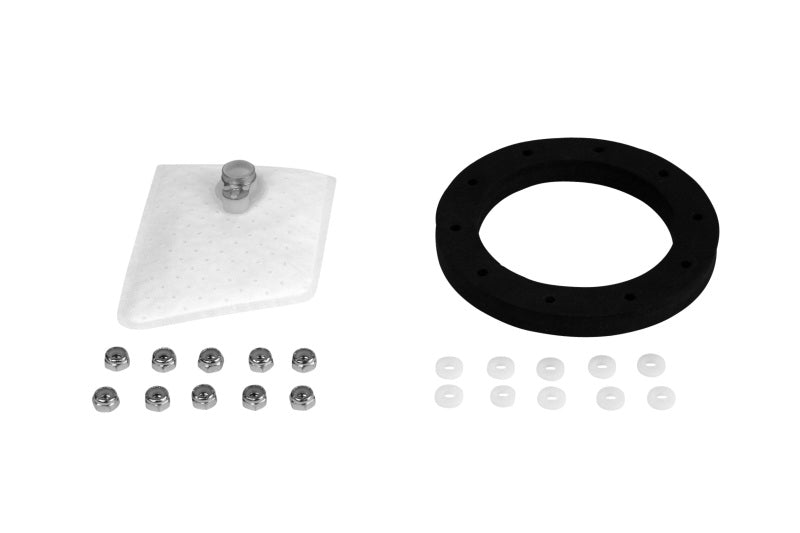 Aeromotive Fuel Pump Strainer Gasket (view 1)