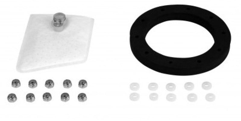 Aeromotive Fuel Pump Strainer Gasket (view 2)