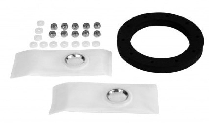 Aeromotive Fuel Pump Strainer Gasket (view 2)