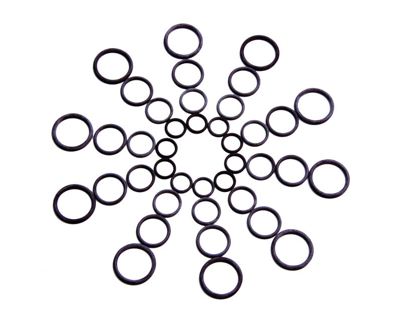 Aeromotive O-Ring Assortment (view 1)