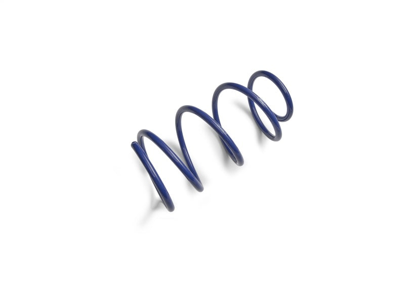 Ford Performance Parts Ford Racing 2012-2013 BOSS 302 Lowering Springs (view 5)