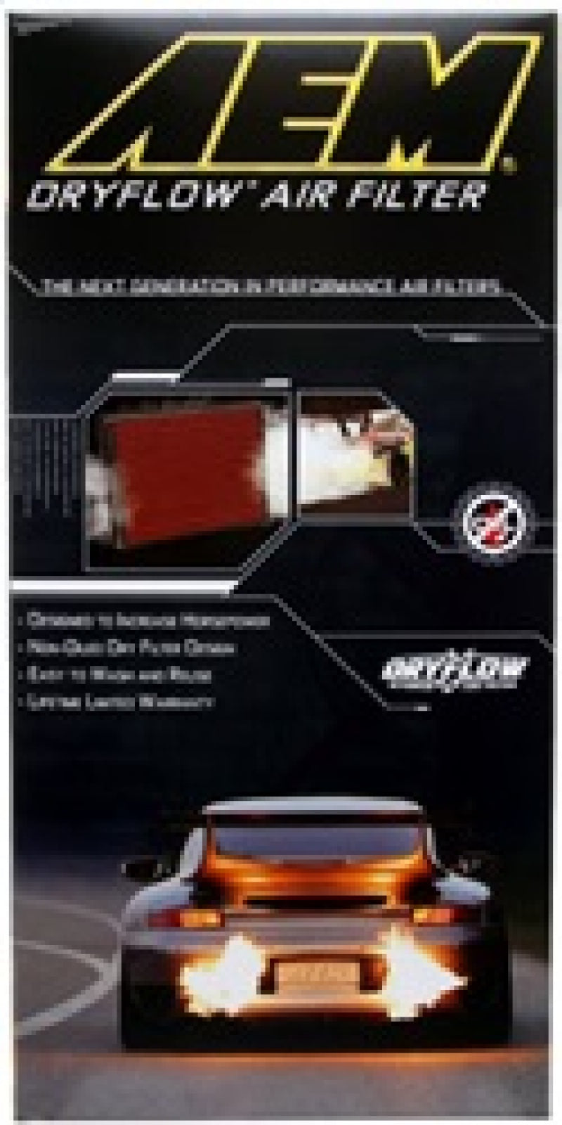 AEM Induction AEM 05-09 VW Passat / 06-08 VW GTI DryFlow Air Filter 28-20888