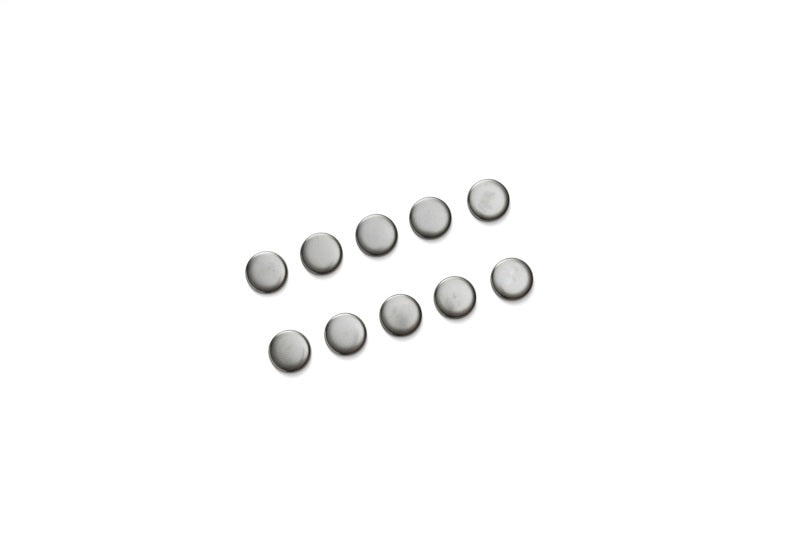 Ford Performance Parts Ford Racing Cylinder Block Camshaft Plug (view 5)