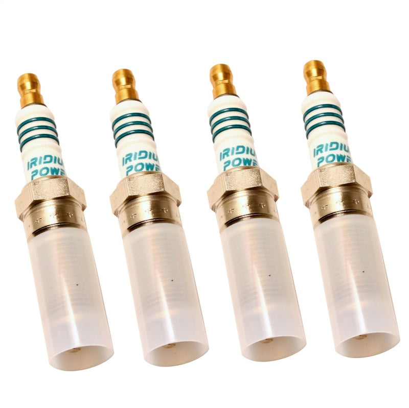 Ford Performance Parts Ford Racing FRPP Cold Spark Plug Set 2.0L Ecoboost (view 2)