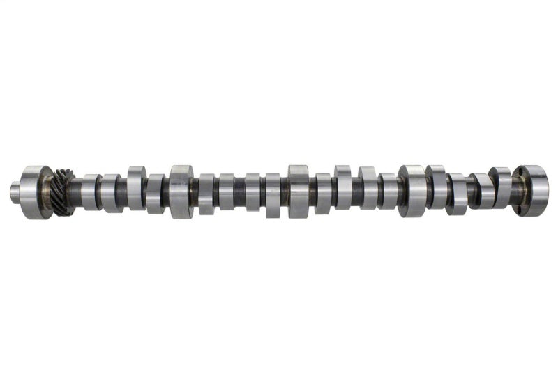 Ford Performance Parts Ford Racing Small Block V-8 Hydraulic Roller Tappet Camshafts (view 6)