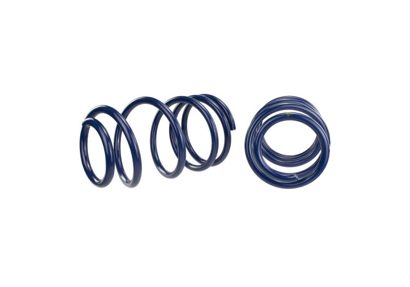 Ford Performance Parts Ford Racing 2007-2014 Mustang Shelby GT500 Springs (view 3)