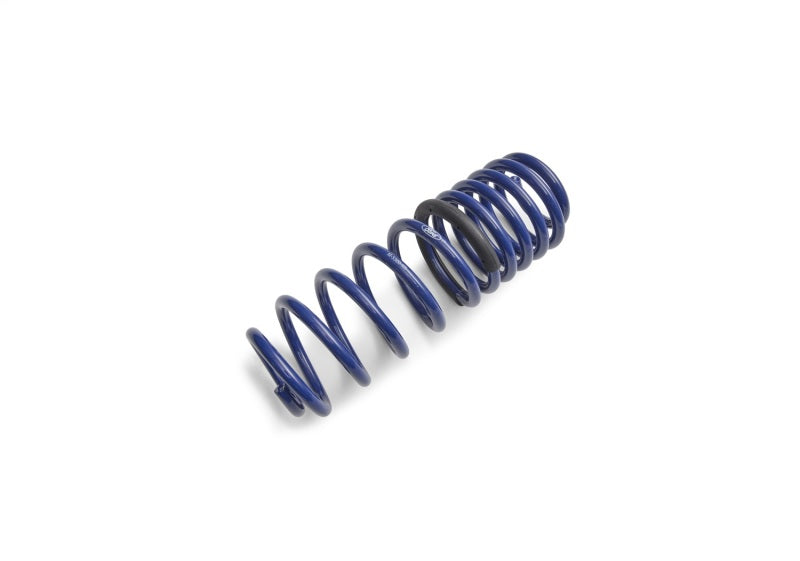 Ford Performance Parts Ford Racing 2012-2013 BOSS 302 Lowering Springs (view 4)