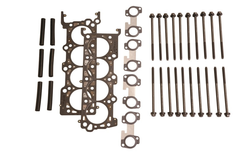 Ford Performance Parts Ford Racing 4.6L 2V SOHC Head Changing Kit (view 2)
