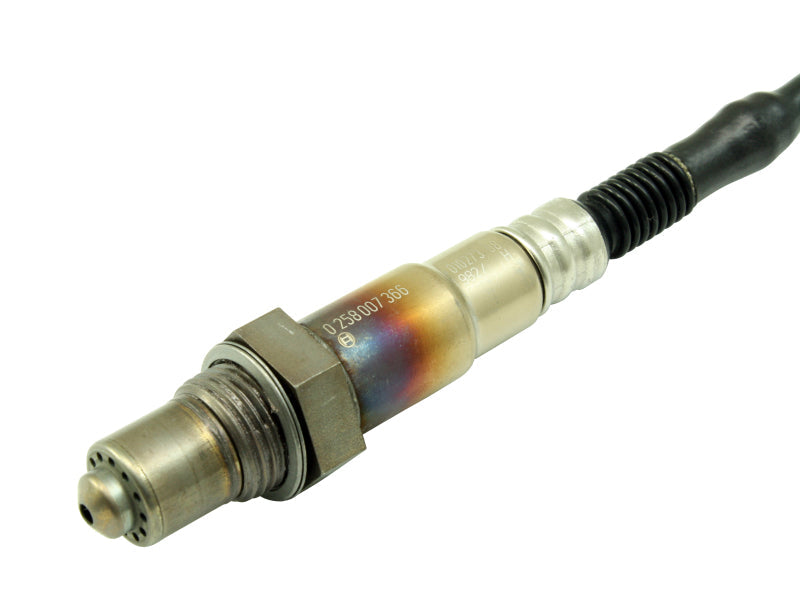 AEM Electronics Bosch LSU 4.2 Wideband UEGO "Replacement" Sensor (view 4)