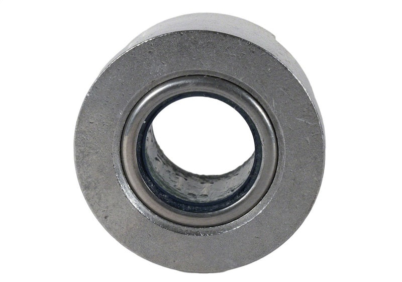 Ford Performance Parts Roller PILOT Bearing 4.6L/5.4L and 5.0L 4V TIVCT Modular Engines (view 5)