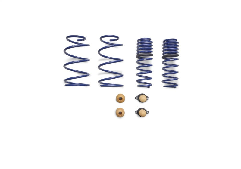 Ford Performance Parts Ford Racing 2012-2013 BOSS 302 Lowering Springs (view 6)