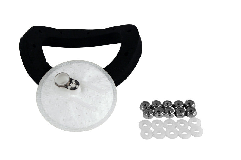 Aeromotive Fuel Pump Strainer Gasket (view 2)