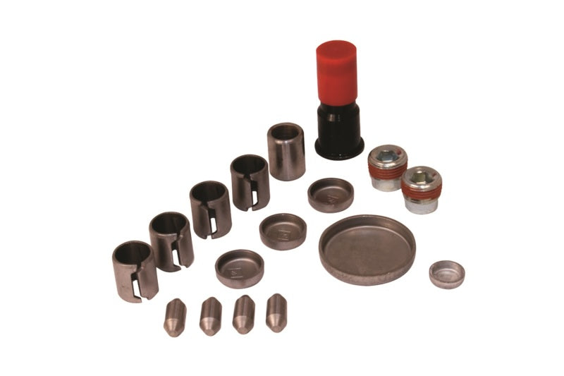 Ford Performance Parts Ford Racing 4.6 Liter Aluminum Block Plug and Dowel Kit (view 1)