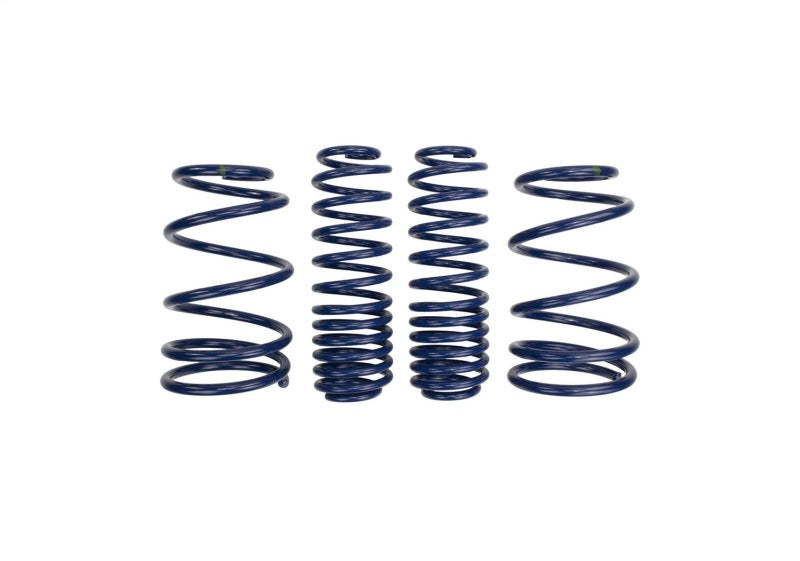 Ford Performance Parts Ford Racing 2007-2014 Mustang Shelby GT500 Springs (view 1)