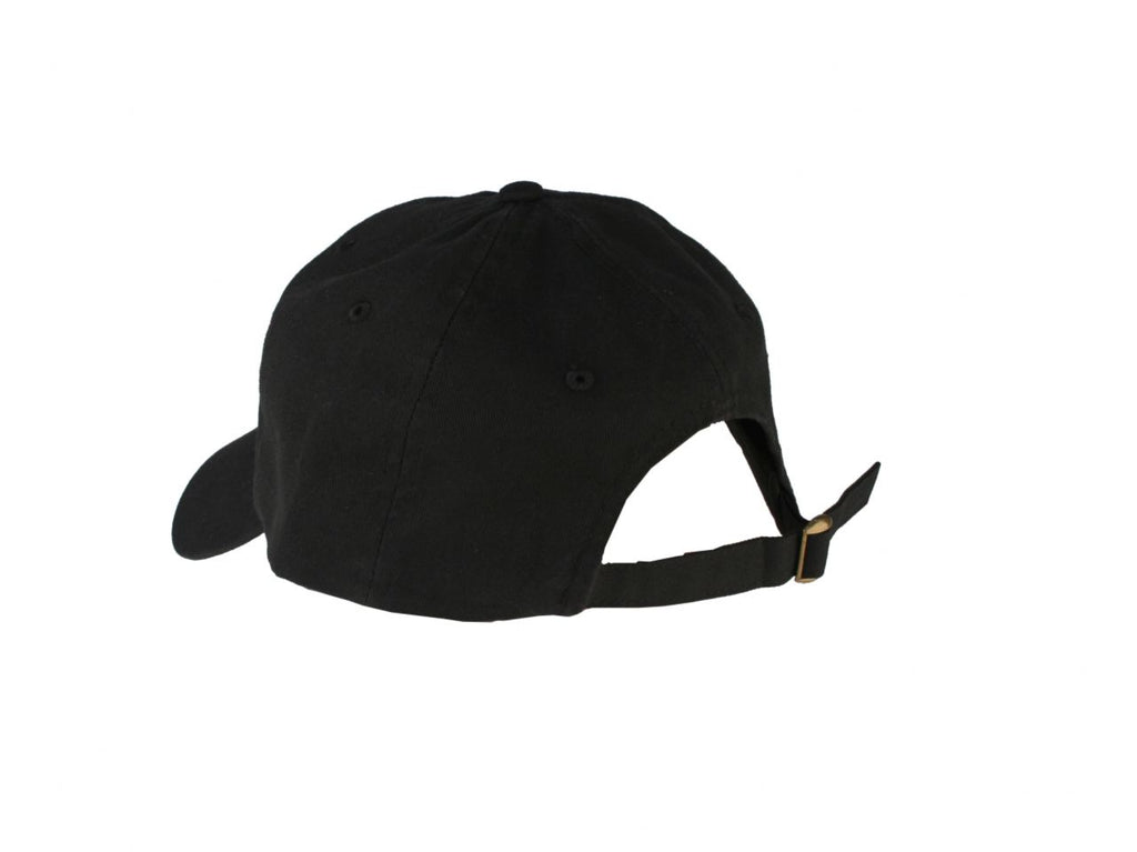Aeromotive Hat with Logo (view 2)