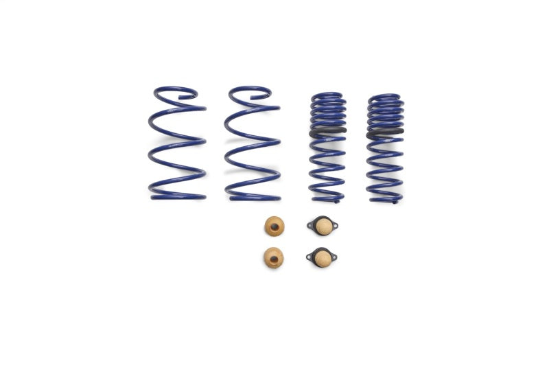 Ford Performance Parts Ford Racing 2012-2013 BOSS 302 Lowering Springs (view 7)