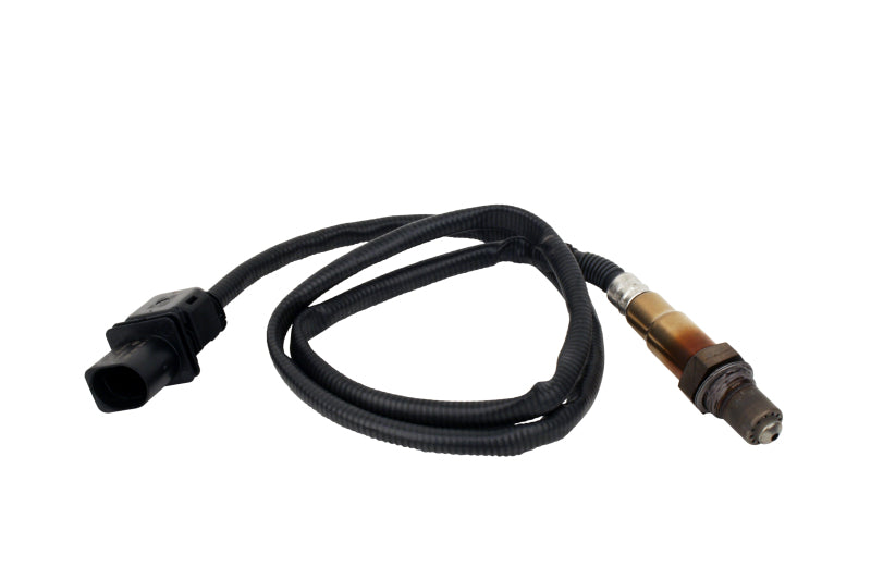 AEM Electronics Oxygen Sensor (view 1)