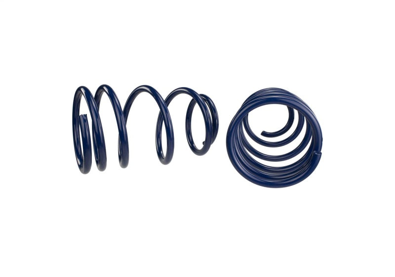 Ford Performance Parts Ford Racing 2007-2014 Mustang Shelby GT500 Springs (view 4)