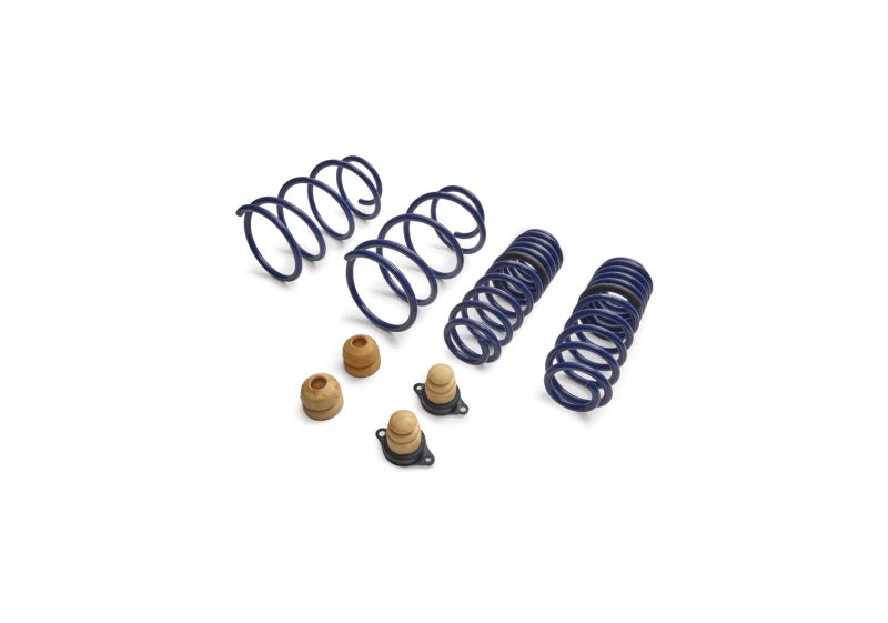 Ford Performance Parts Ford Racing 2012-2013 BOSS 302 Lowering Springs (view 3)