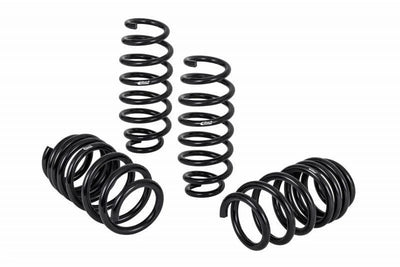 Eibach Pro-Kit Lowering Springs for 2018-2022 Tesla Model 3 RWD — angled set of 4 black springs